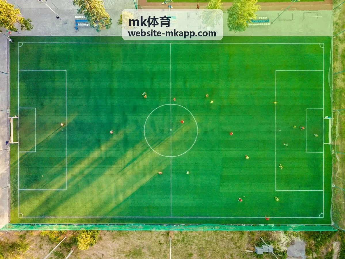 mk体育运动培训